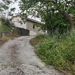 Vagelis 2 *
