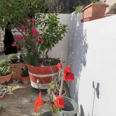 Appartement Vagelis 2