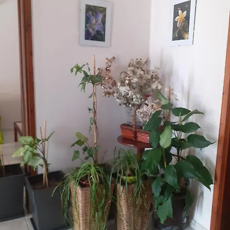 アパート Vagelis 2 Nemea