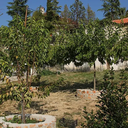 アパート Vagelis 2 *