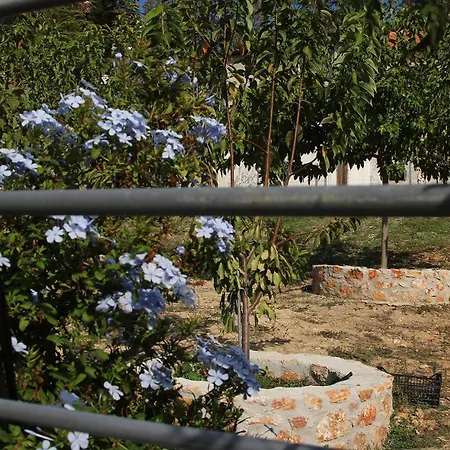 Vagelis 2 アパート Nemea