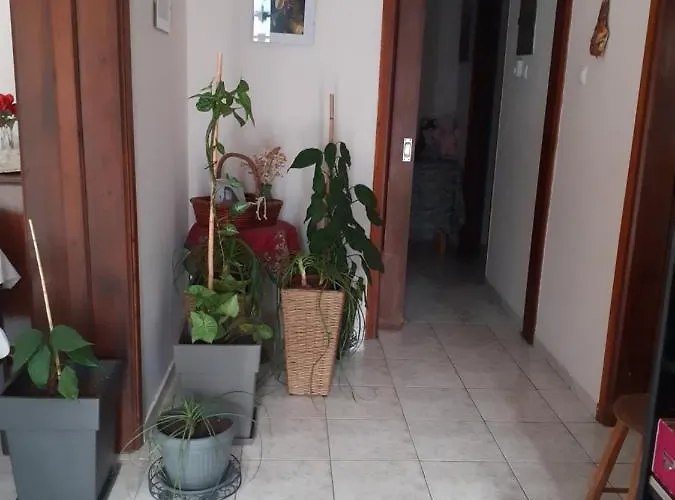 Apartment Vagelis 2 *