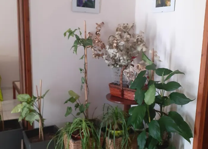 Lägenhet Vagelis 2 Nemea