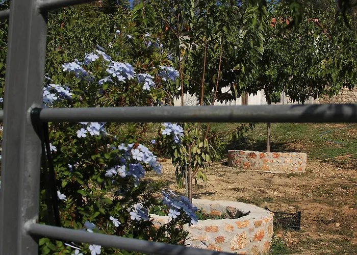 Vagelis 2 公寓 Nemea